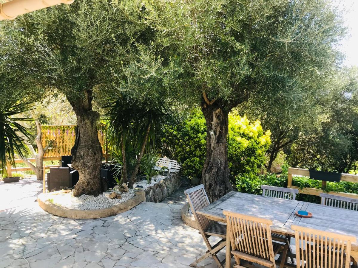 Magnifique Avec Piscine Villa *