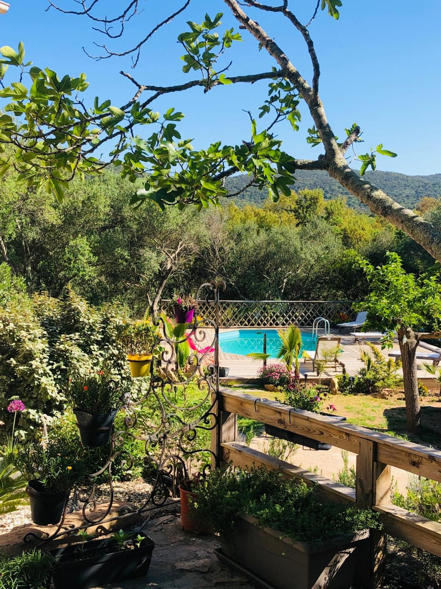 Villa Magnifique Avec Piscine Porto-Vecchio (Corsica)