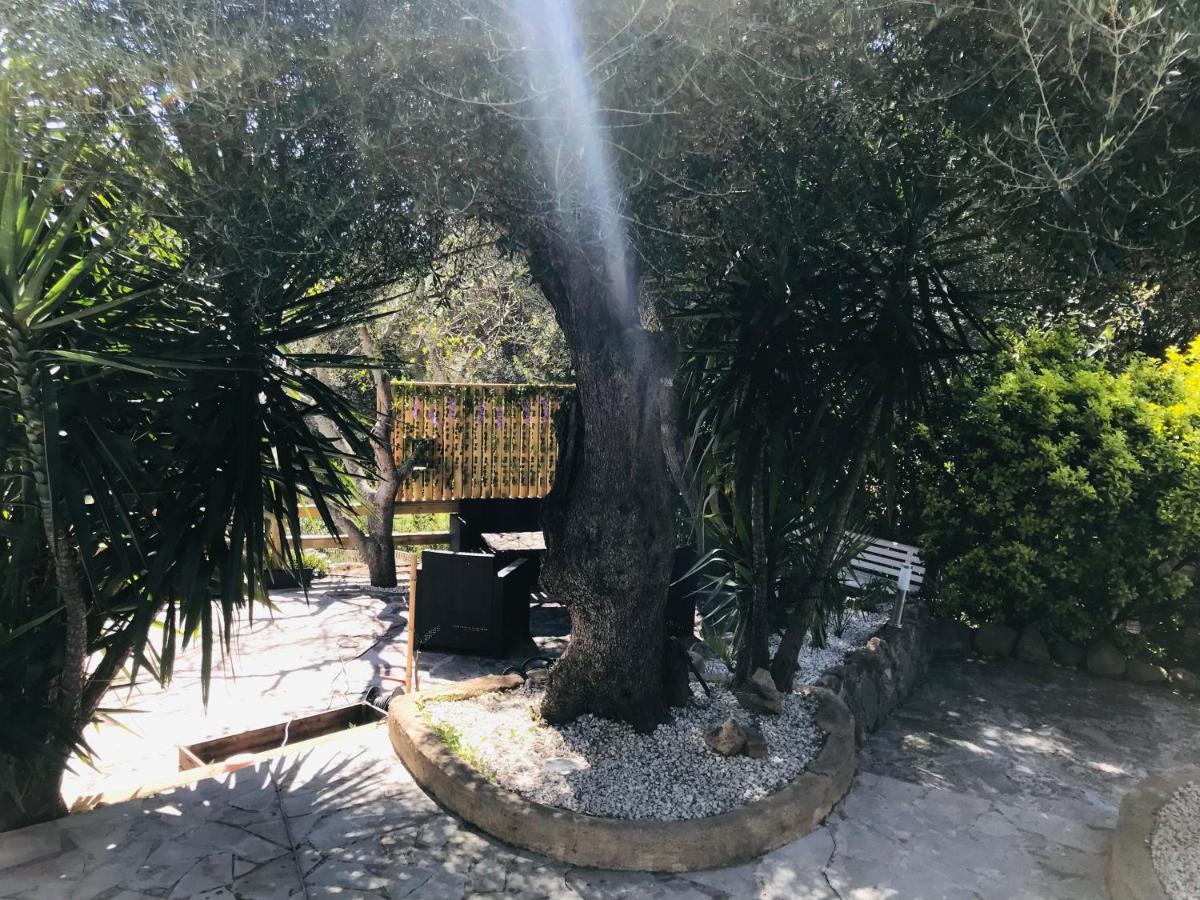 Magnifique Avec Piscine Villa Porto-Vecchio (Corsica)