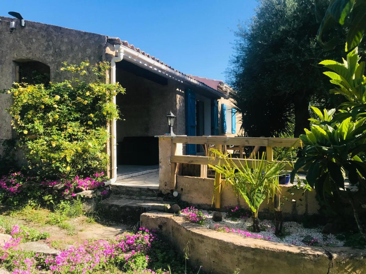 Magnifique Avec Piscine Porto-Vecchio (Corsica)