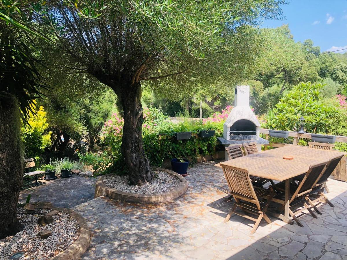 Magnifique Avec Piscine Villa *