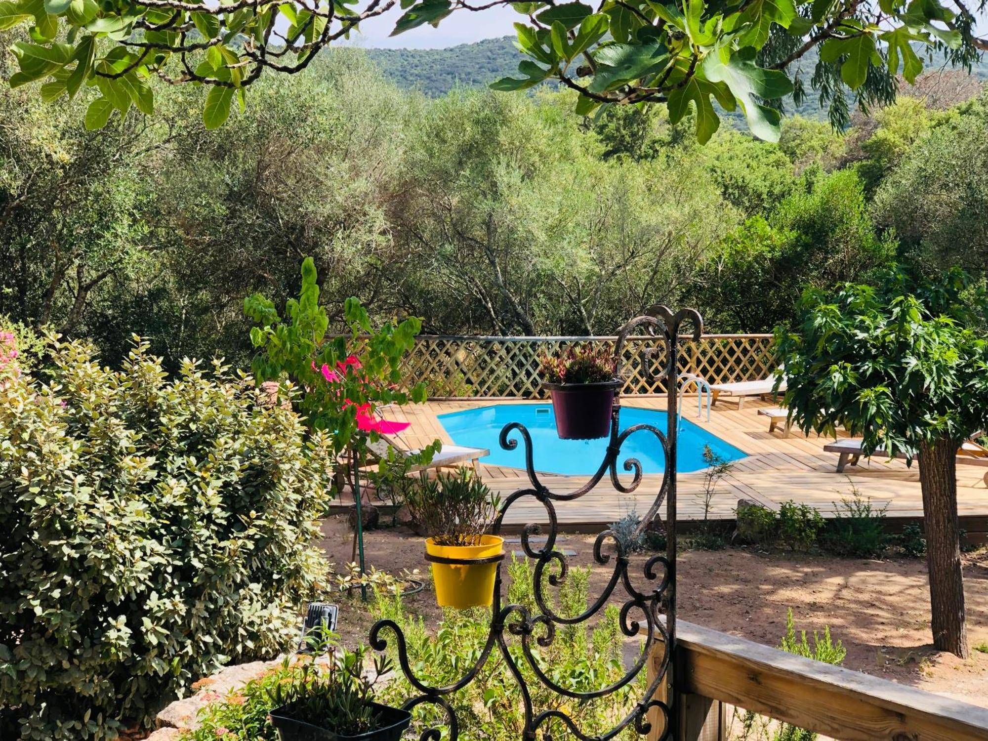 Magnifique Avec Piscine Porto-Vecchio (Corsica)
