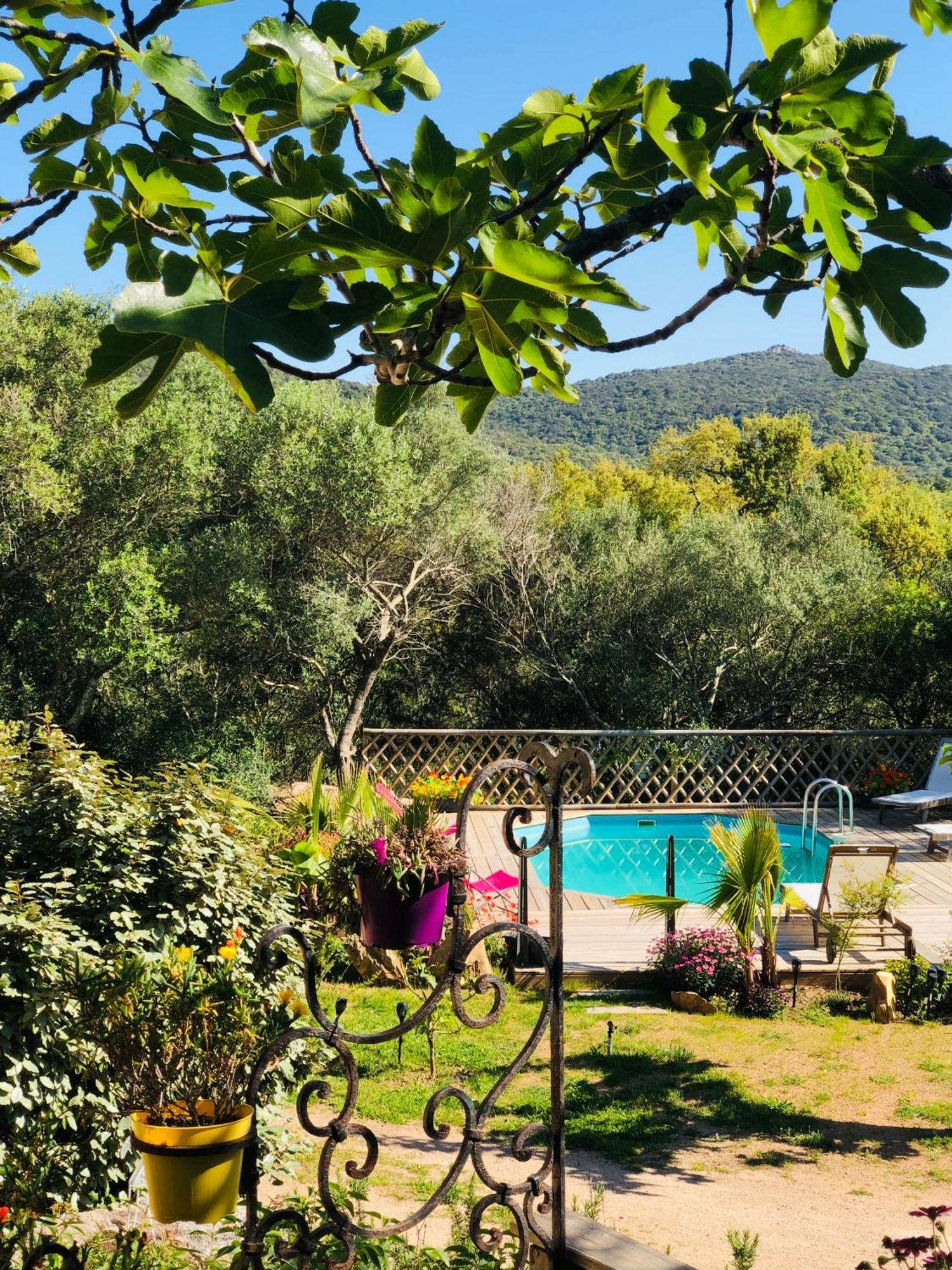 Villa Magnifique Avec Piscine